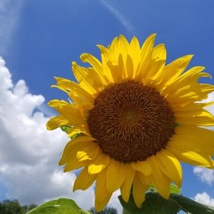 Meet your Posher, Bonnie